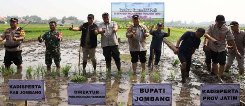 Gerakan tanam padi ini dilaksanakan di Dusun Kalimati, Desa Kendalsari, Kecamatan Sumobito, Jombang, Kamis (10/4/2025).