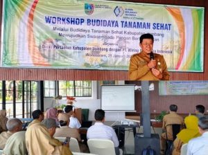 Workshop Disperta