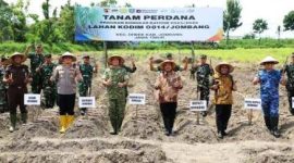 Kegiatan yang dihadiri oleh Sekretaris Daerah Agus Purnomo, Kepala Dinas Pertanian Kabupaten Jombang, Forkopimcam Diwek, petani, ini diharapkan mampu meningkatkan kesejahteraan petani melalui pendampingan teknis yang profesional dan ketersediaan bibit yang berkualitas.