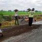 Plt PURP Kabupaten Jombang, Imam Bustomi, S.T., (photo kiri) dan para pekerja sedang melakukan perbaikan jalan di wilayah Kabupaten Jombang.   Photo: istimewa/edit