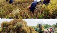 Photo: Petani-buruh tani di kawasan lahan pertanian Desa Watudakon, Kecamatan Kesamben, Kabupaten melakukan panen padi secara manual dan dilakukan perontok secara manual pula, pada saat panen raya bulan Pebruari 2026 lalu. 