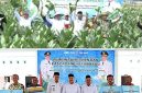 Tampak Bupati bersama Wakil Bupati dan Kepala Dinas Pertanian melakukan panen raya, dan memberikan bantuan sarana produksi kepada Gabungan Pertanian (Gapoktan), Rabu (7/10/2026). Photo: istimewa