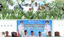 Tampak Bupati bersama Wakil Bupati dan Kepala Dinas Pertanian melakukan panen raya, dan memberikan bantuan sarana produksi kepada Gabungan Pertanian (Gapoktan), Rabu (7/10/2026). Photo: istimewa