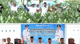 Tampak Bupati bersama Wakil Bupati dan Kepala Dinas Pertanian melakukan panen raya, dan memberikan bantuan sarana produksi kepada Gabungan Pertanian (Gapoktan), Rabu (7/10/2026). Photo: istimewa