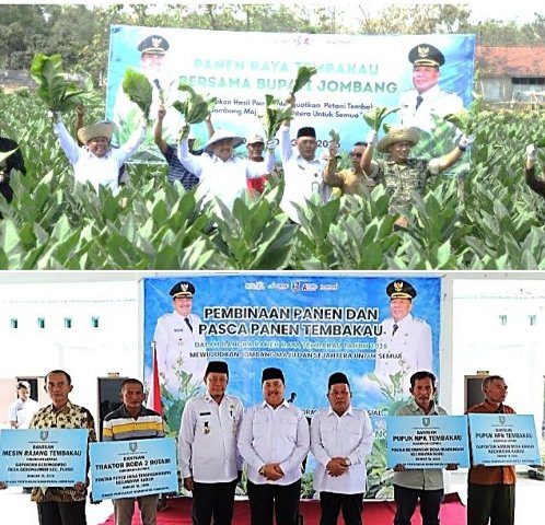 Tampak Bupati bersama Wakil Bupati dan Kepala Dinas Pertanian melakukan panen raya, dan memberikan bantuan sarana produksi kepada Gabungan Pertanian (Gapoktan), Rabu (7/10/2026). Photo: istimewa